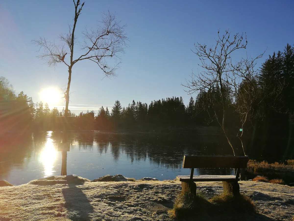 Ławka nad spokojnym jeziorem w świetle niskiego słońca